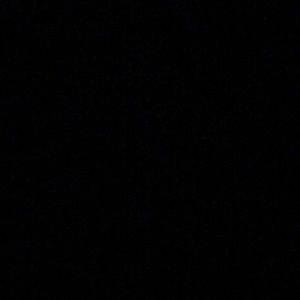 Meet your Posher, Bailey